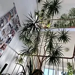 Hilgers Hotel 3*