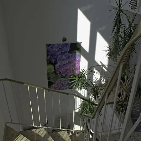 Hilgers فندق 3*