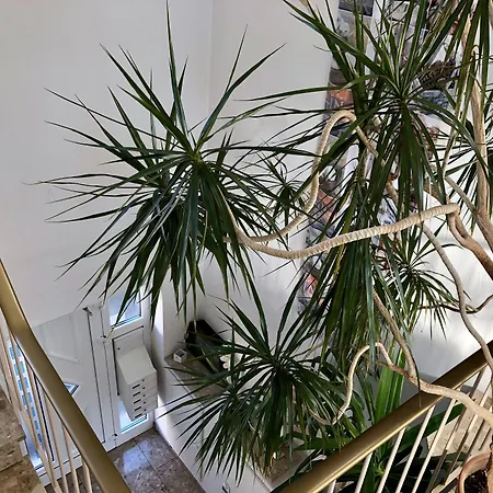 Hilgers Hotel Düren - Eifel