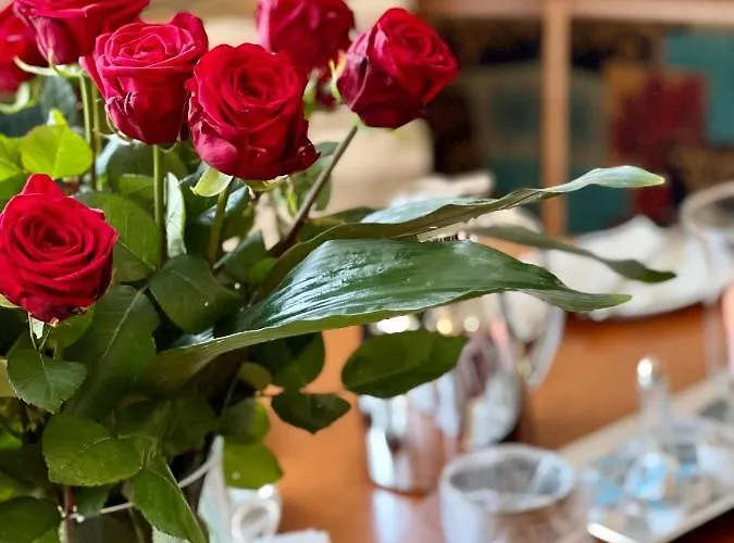 Hilgers Hotel Düren - Eifel