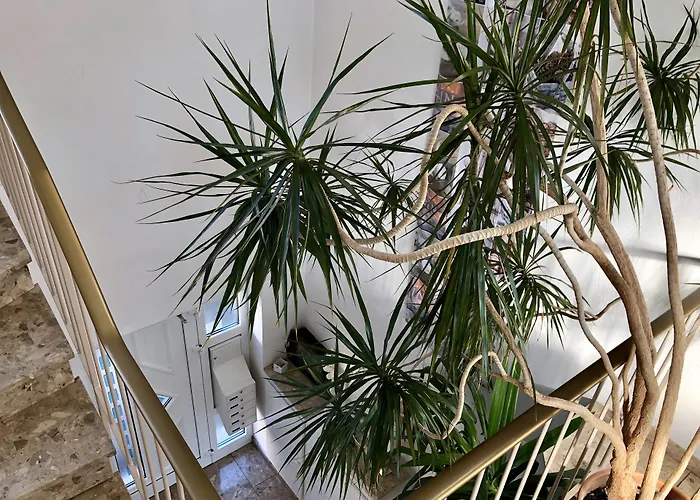 Hilgers Hotel Düren - Eifel